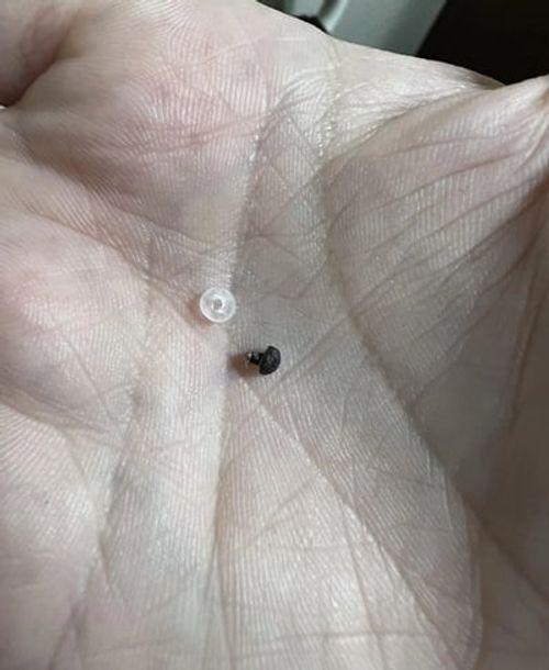 Patri T.